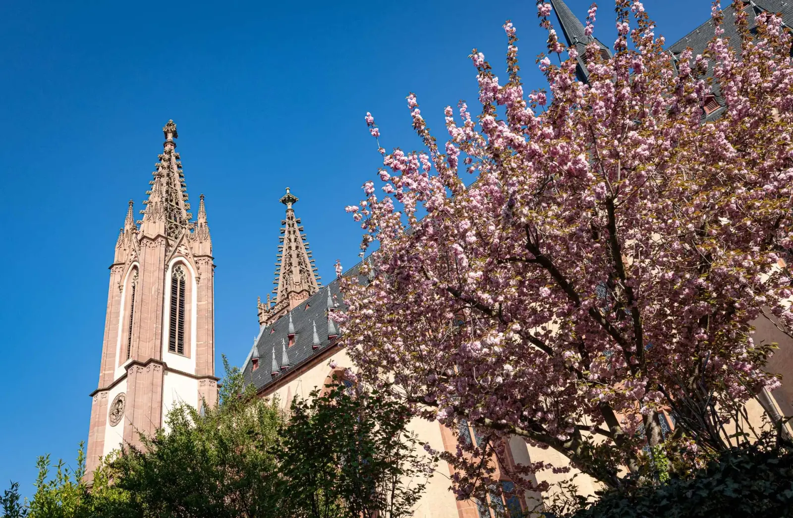 Grossformatige Pastelle im Rheingauer Dom